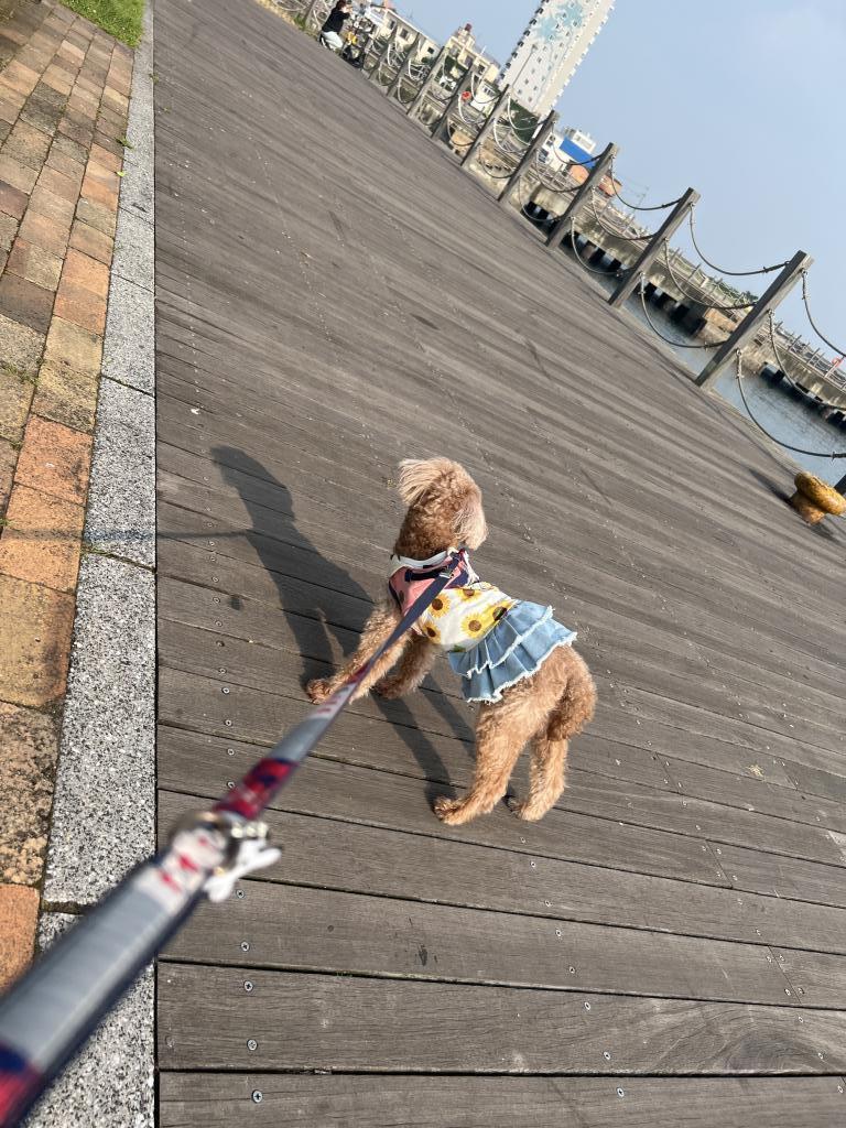 かんたん港園風景と愛犬_[f3]