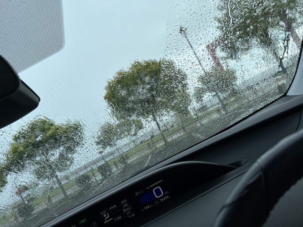 車内から見た豪雨_[f1]