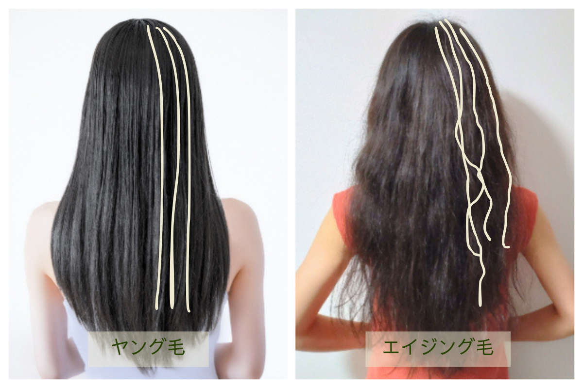 一人ひとりの髪や頭皮の状況に合わせたシャンプーを使用